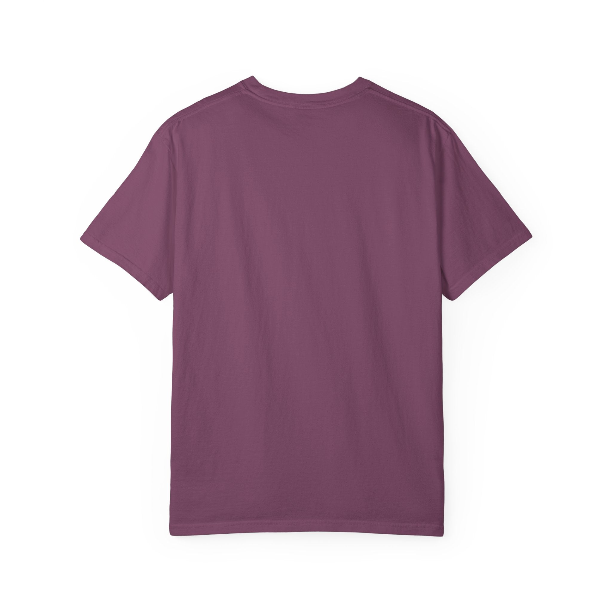 The Internet Is Broken — Dino Offline Graphic T-Shirt